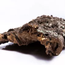 <center>Kora surowa <br>do terrarium </center>