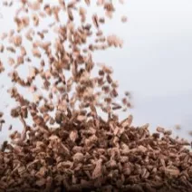 <center>Granulat korkowy</center>