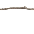 nr 20
