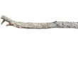 nr 28