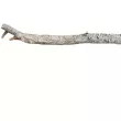 nr 28