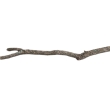 nr 30