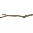 nr 30