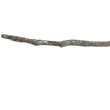 nr 31