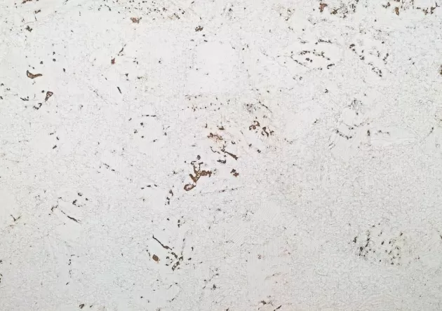 korek ścienny DECO SNOW  3mm