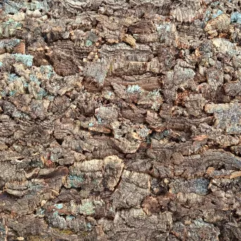 korek na ścianę, kora dębu korkowego- VIRGIN 25mm  900mm x 600mm