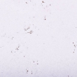 Próbka korka ściennego 3mm