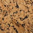 Próbka korka ściennego 3mm