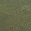 Próbka korka ściennego 3mm - 42