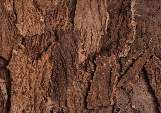 Próbka korka na ścianę: RIVER, VIRGIN 25mm