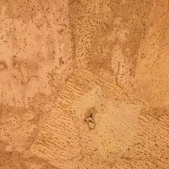 Tkanina korkowa Hawana Normal