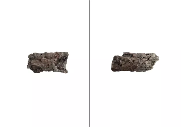 Tuba korkowa kora surowa