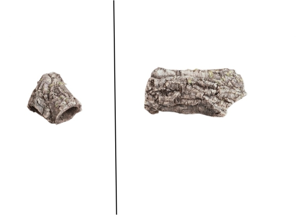 nr 1