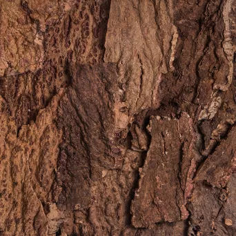 Korek ścienny River