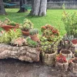 Tuby korkowe naturalne o średnicy 10-15 cm - 3