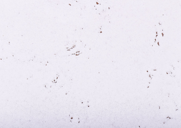 korek dekoracyjny DECORATIVE SNOW 3mm