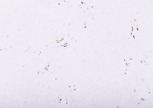korek dekoracyjny DECORATIVE SNOW 3mm