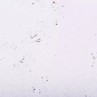 korek dekoracyjny DECORATIVE SNOW 3mm