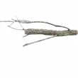 Naturalne gałęzie korkowe z dębu - 10