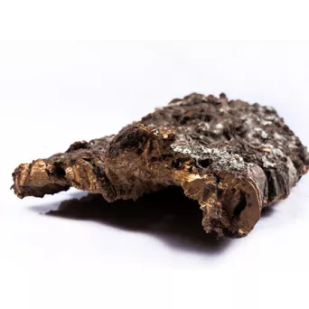 Kora korkowa naturalna