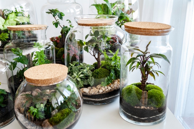 Ogrody w słoikach