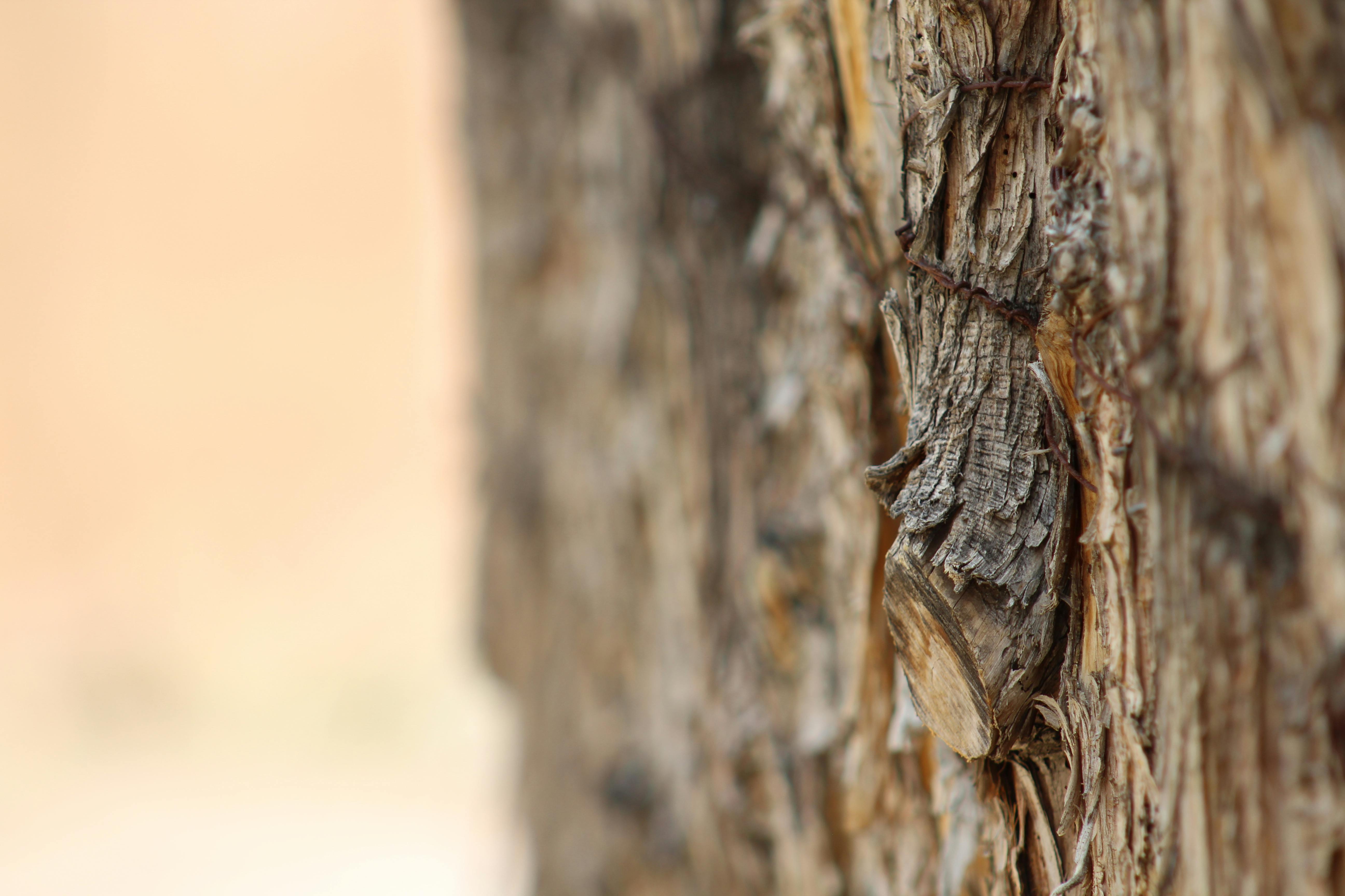 Najlepsze sposoby wykorzystania korka w remontach i modernizacji wnętrz 