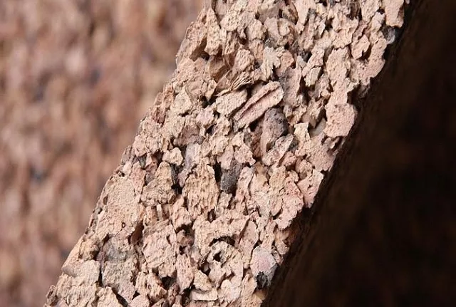 Korek ekspandowany ? Odkryj korzyści dobrej izolacji