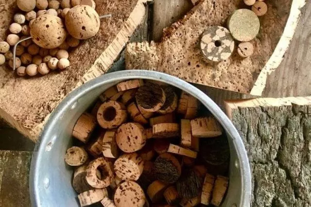 Dlaczego korek naturalny to nie kolejny przykład greenwashingu?