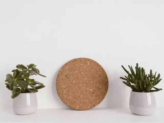Dlaczego korek jest ekologicznym wyborem?