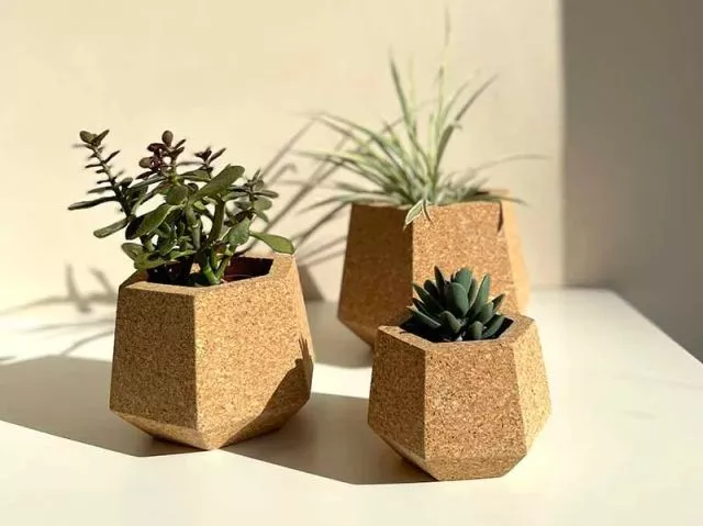 Korek a alergie – czy jest bezpieczny?